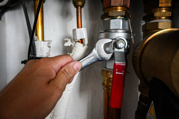 Best Commercial Plumbing Services  in Port Allegany, PA